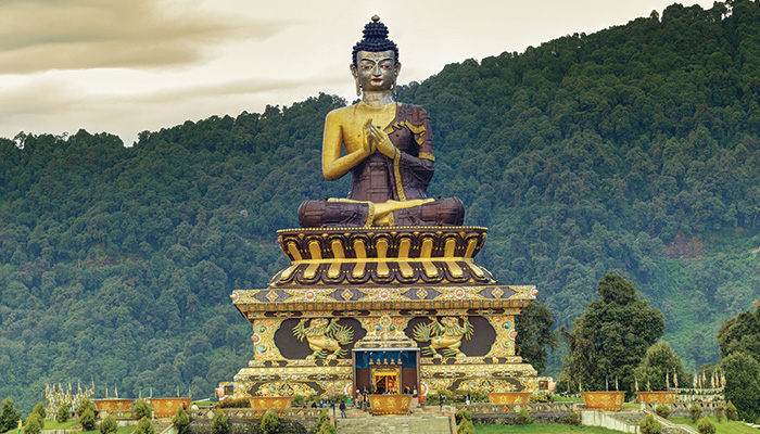 Here’s Why Nature Lovers Should Visit Sikkim in June